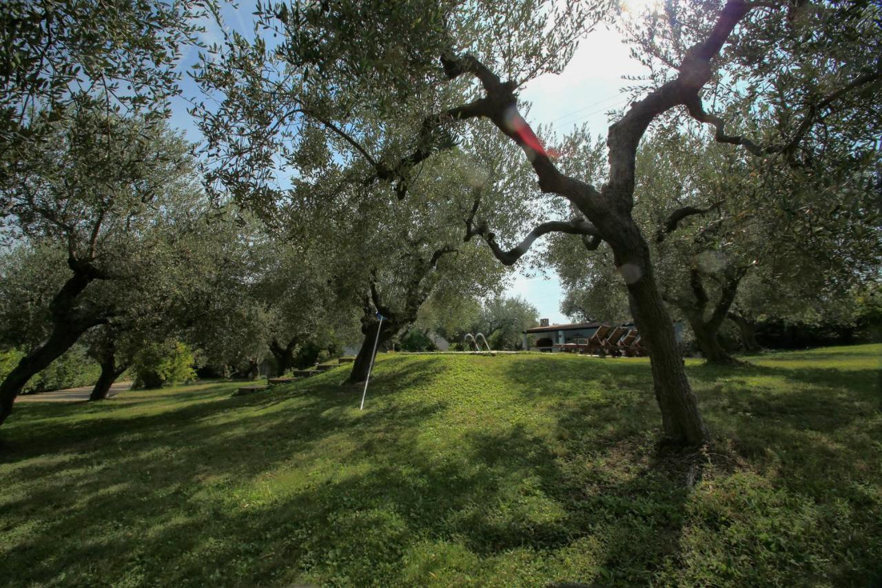B&B Arli Torrevecchia Teatina Exterior photo